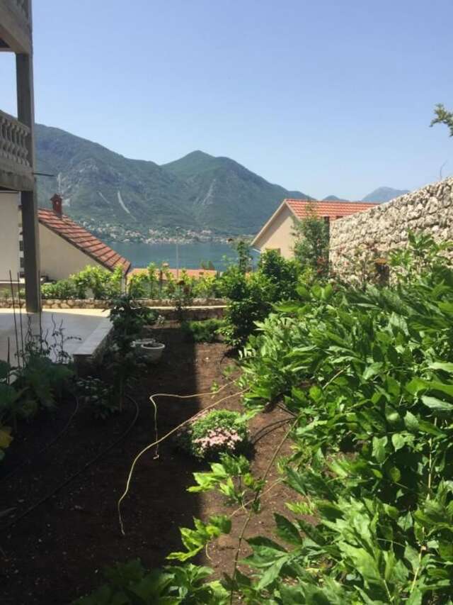 Апартаменты Apartments Sea Star Котор-50