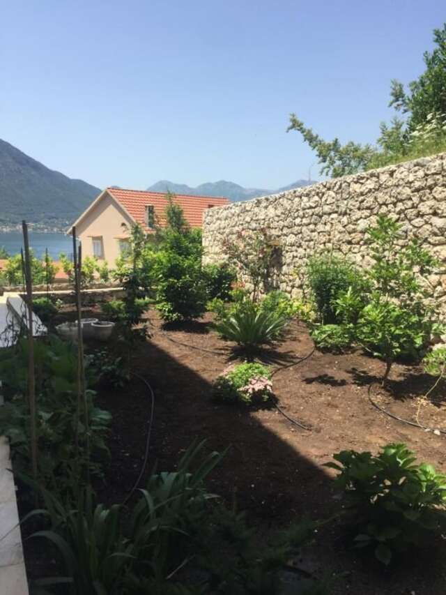 Апартаменты Apartments Sea Star Котор-51